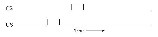 graph showing that US onset preceeds CS onset over time