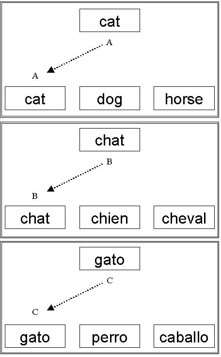 Panel 1: sample stimulus is cat, three comparison stimuli are cat, dog, horse; and the untrained reflexive relation is cat - cat.
                    Panel 2: sample stimulus is chat, three comparison stimuli are chat, chien, cheval; and the untrained reflexive relation is chat - chat.
                    Panel 3: sample stimulus is gato, three comparison stimuli are gato, perro, caballo; and the untrained reflexive relation is gato - gato.