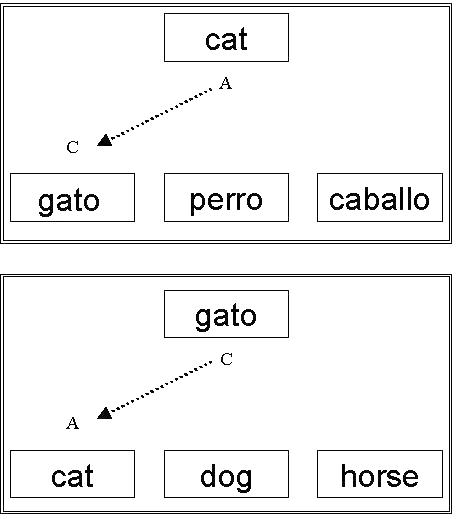 Top Panel: sample stimulus is cat, three comparison stimuli are gatp, perro, caballo; and the untrained transitive relation is cat - gato.
                    Bottom Panel: sample stimulus is gato, three comparison stimuli are cat, dog, horse; and the untrained transitive relation is gato - cat.