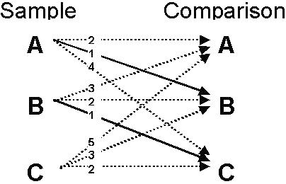 Diagram shows two columns: Sample and Comparison; with letters A, B, and C in each column. 
                    Sample 'A' has: a dashed reflexivity arrow to Comparison 'A', a solid trained arrow to Comparison 'B', and a dashed transivity arrow to Comparison 'C'. 
                    Sample 'B' has: a dashed symmetry arrow to Comparison 'A', a dashed reflexivity arrow to Comparison 'B', and a solid trained arrow to Comparison 'C'. 
                    Sample 'C' has: a dashed equivalence test arrow to Comparison 'A', a dashed symmetry arrow to Comparison 'B', and a dashed reflexivity arrow to Comparison 'C'.